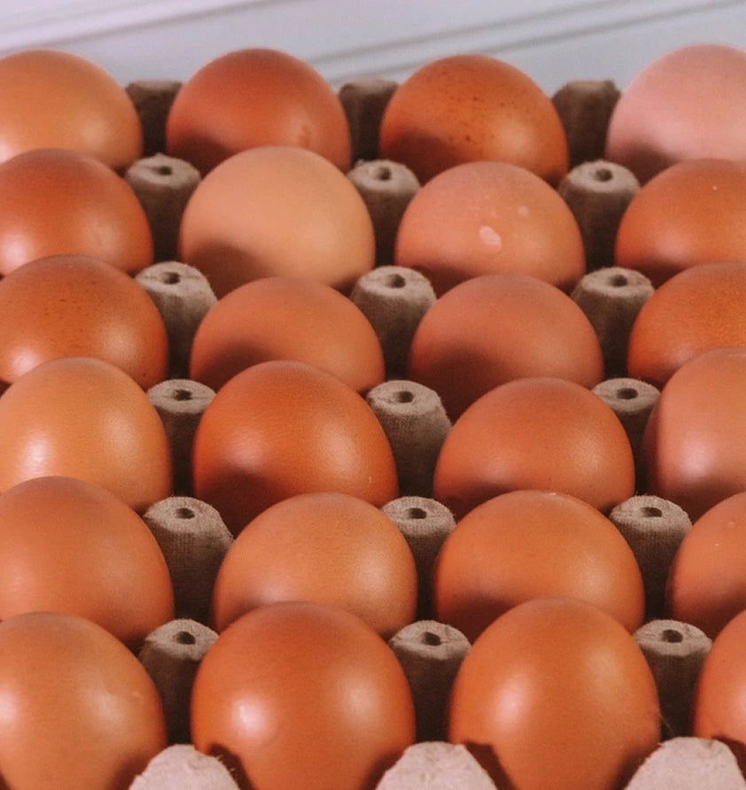 Bandeja de huevos 30 unidades