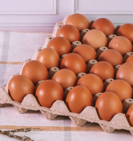 Bandeja de huevos 30 unidades