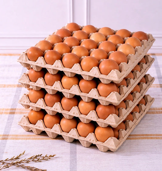 Caja huevos del sur 120 huevos