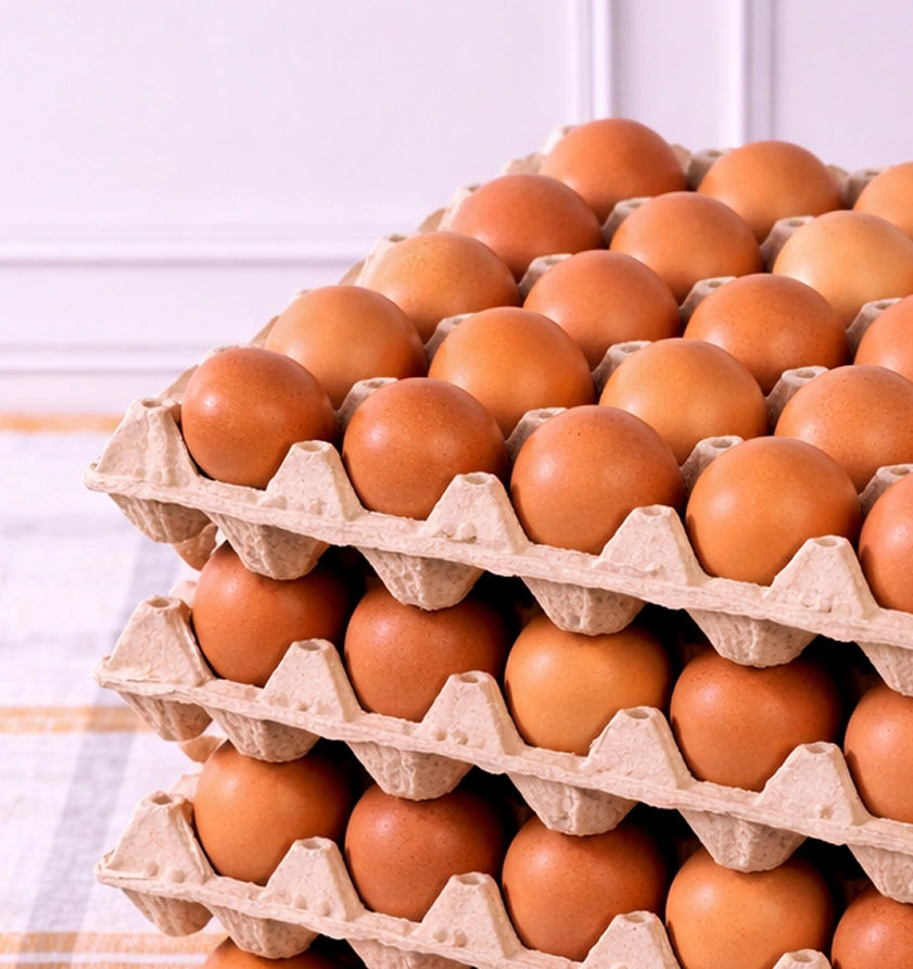 Caja huevos del sur 120 huevos