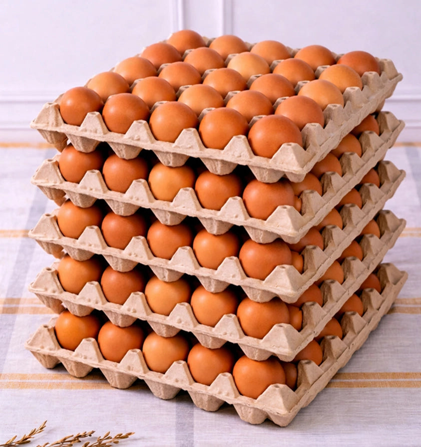 Caja 150 Huevos del Sur - 5 Bandejas Tamaño Extra
