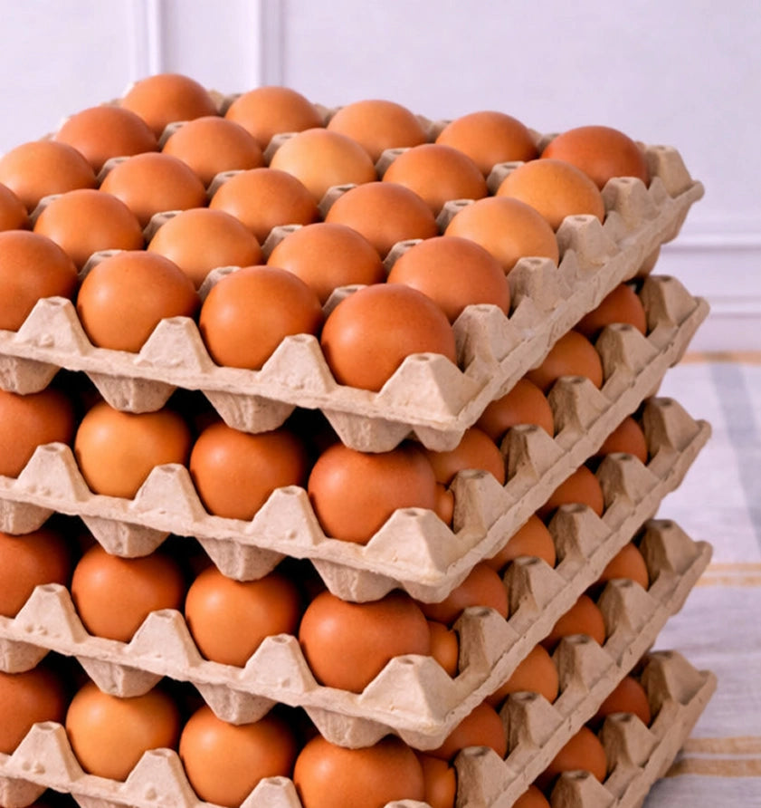 Caja 150 Huevos del Sur - 5 Bandejas Tamaño Extra